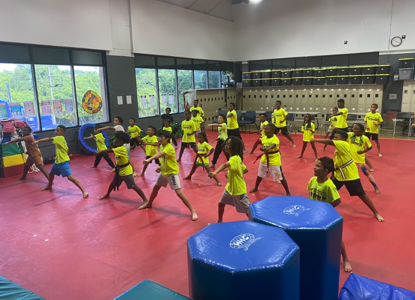 KS White Tiger Summer Camp Owings Mills MD 21117