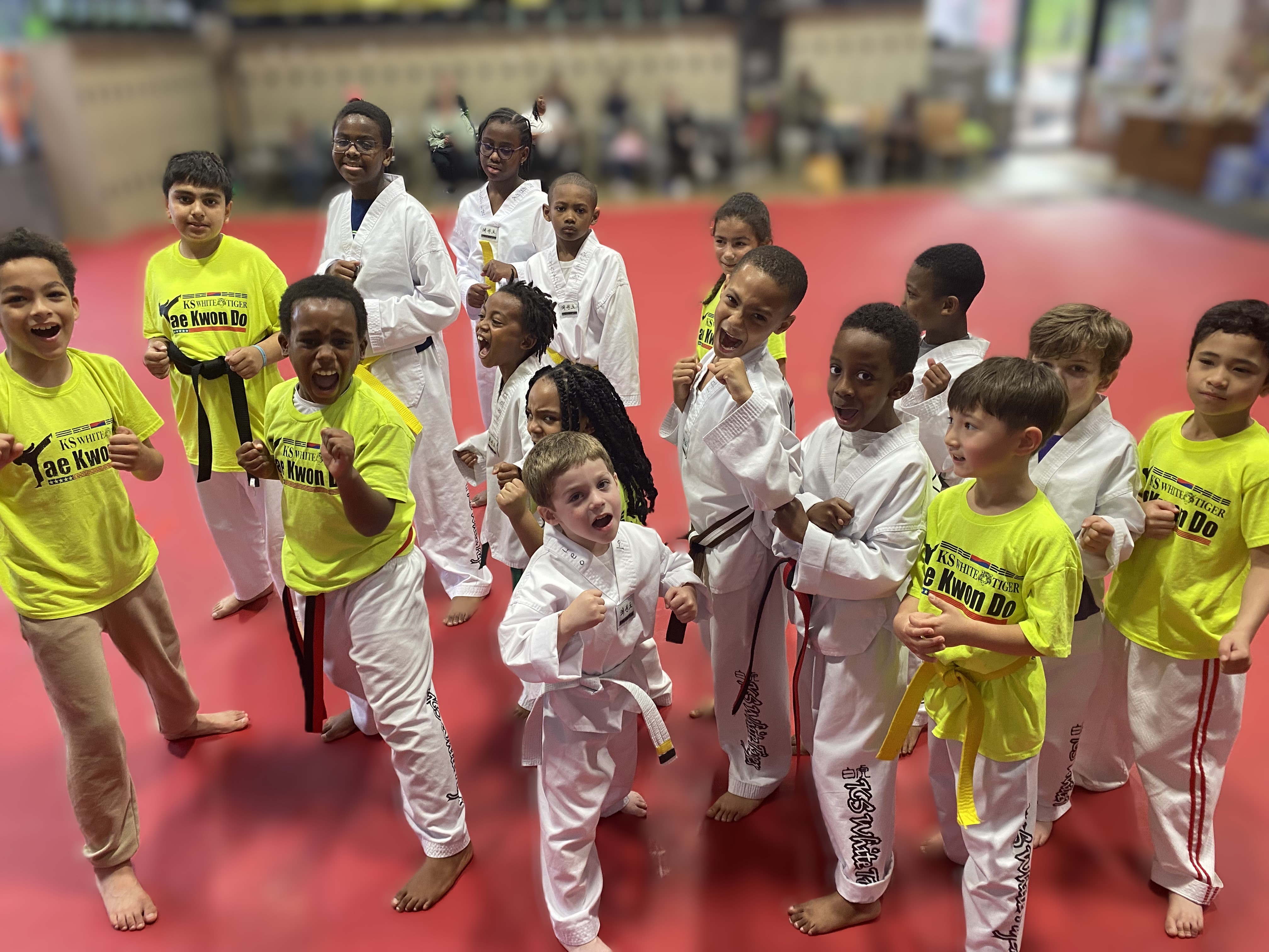 Martial Arts Classes for ages 5 years old & up in Owings Mills MD