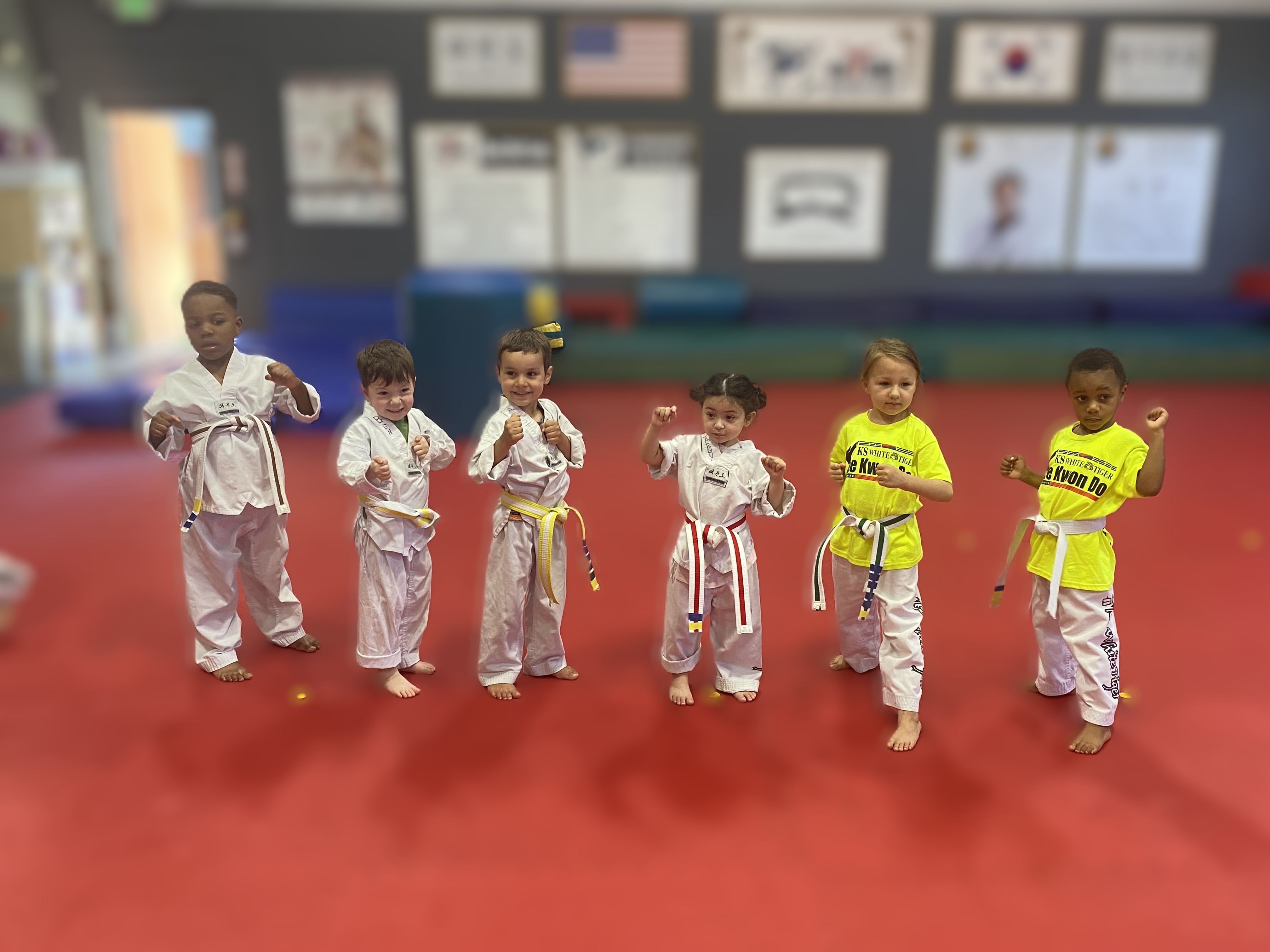 Martial Arts Classes starting at 3 yrs old in Owings Mills MD 21117