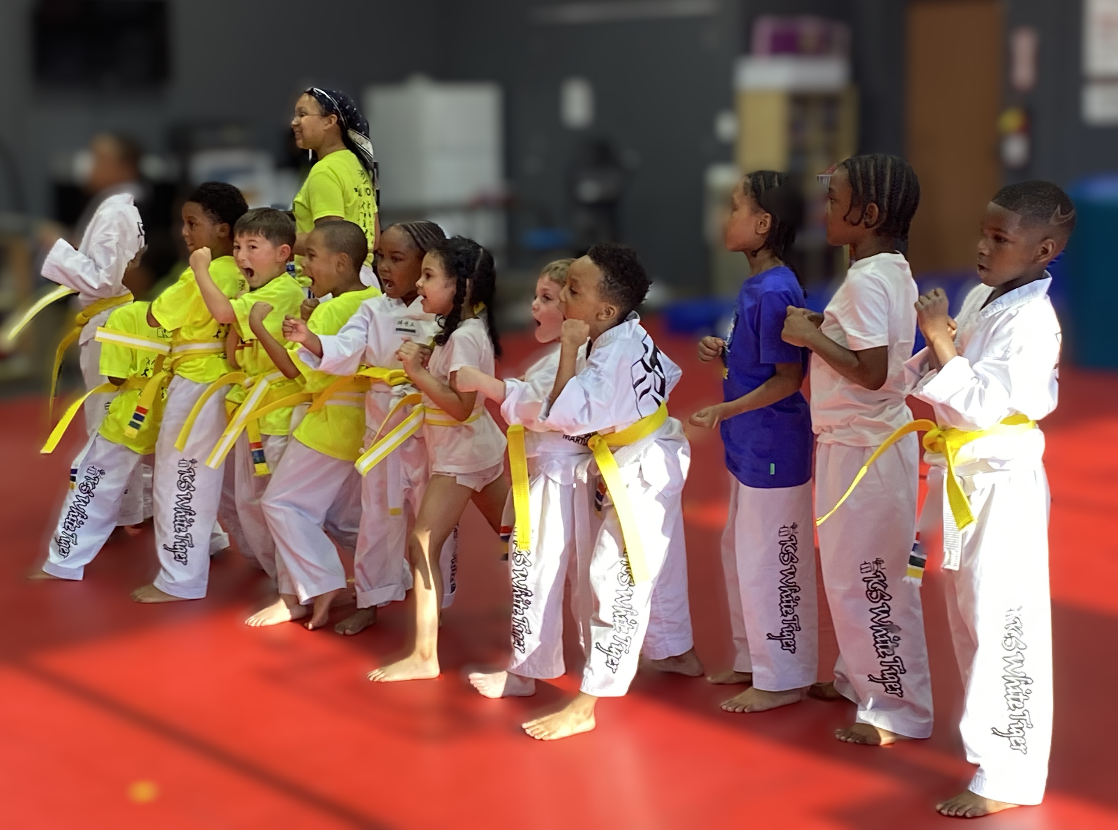 Martial Arts for better focus and concentration in Owings Mills